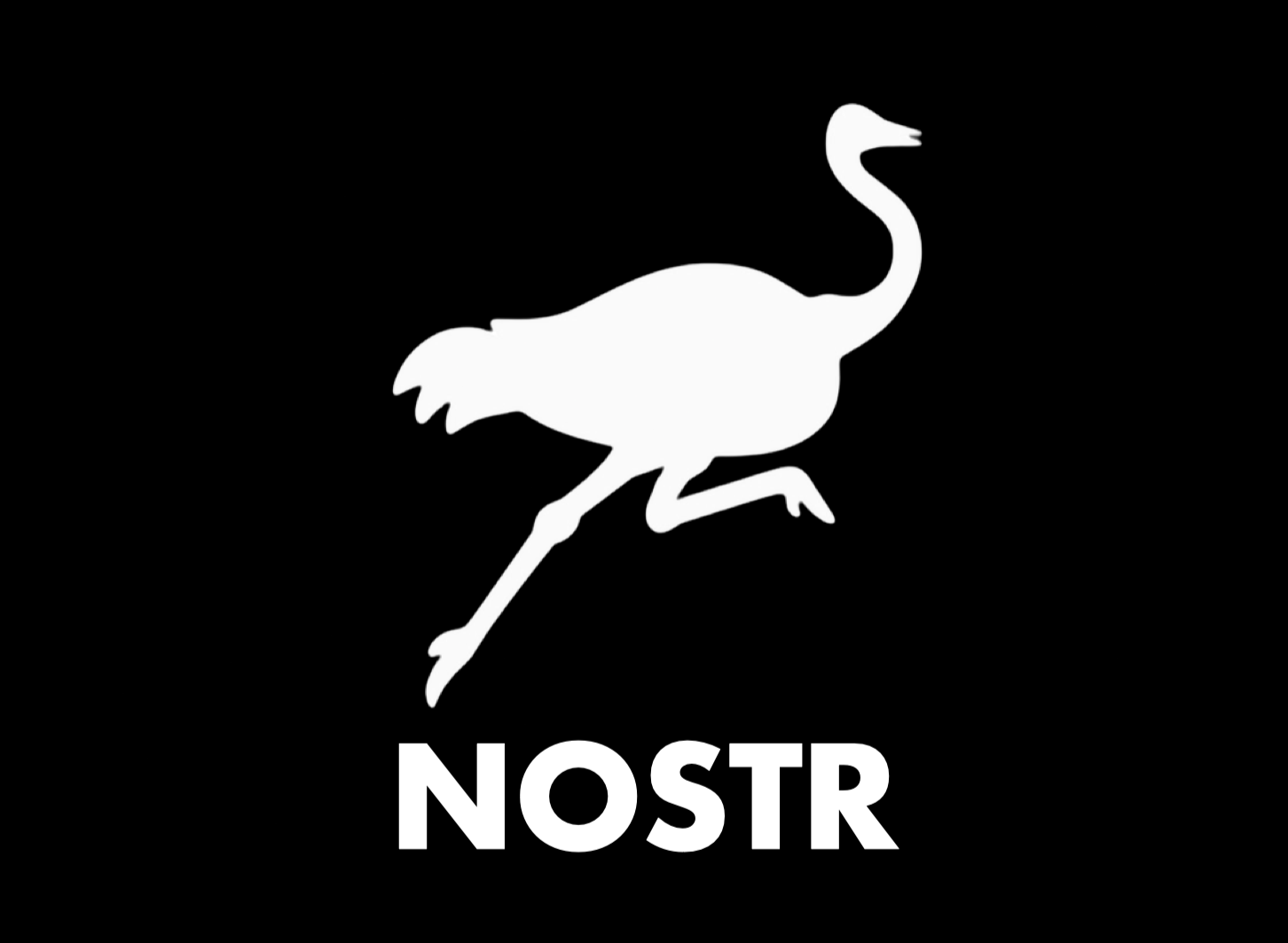 Nostr Logo